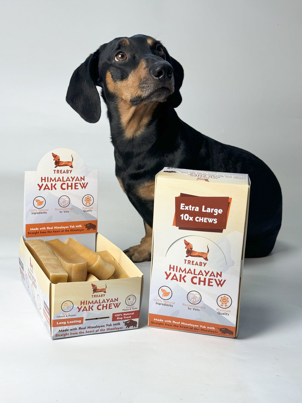 Treat your dog to the best with the Treaby Himalayan Yak Chew XL Bundle – 10 Extra-Large Chews for maximum satisfaction!  - Antler Chew 