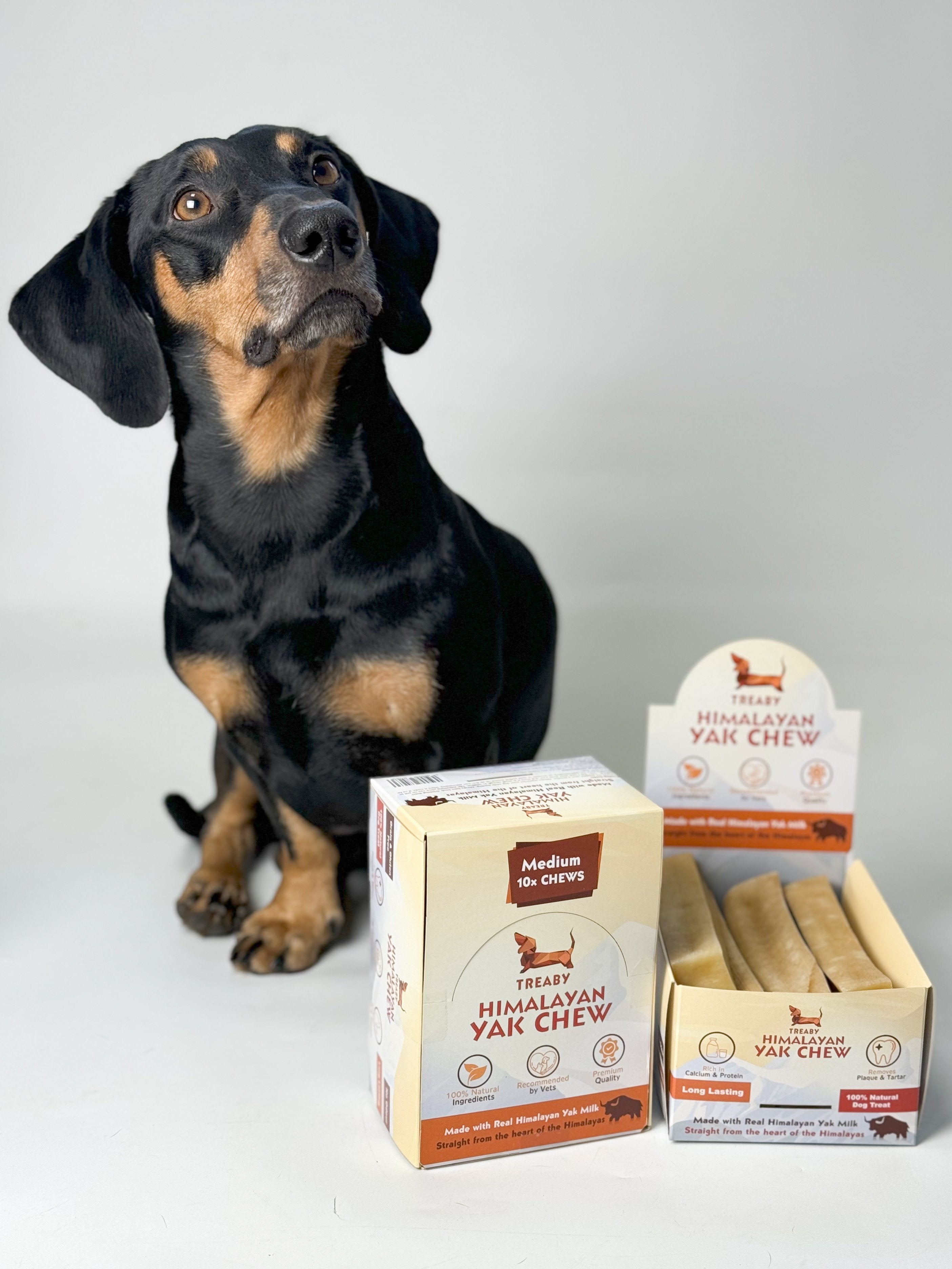 Shop Treaby Himalayan Yak Chew Bundles, crafted from pure Himalayan yak milk. Available in four sizes – small to extra large – these durable, natural dog chews promote dental health and provide hours of enjoyment. Perfect for all dog breeds. Order your pack today!  - Antler Chew 