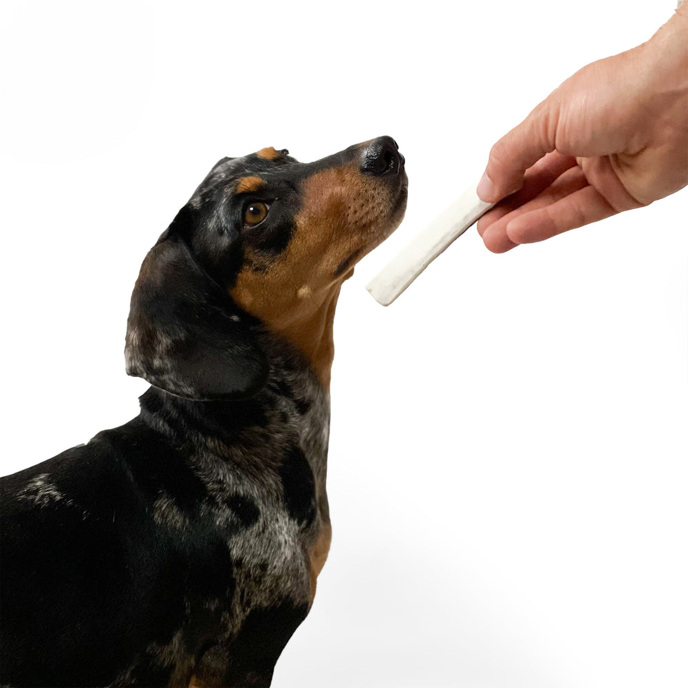 Moose Antler Chew