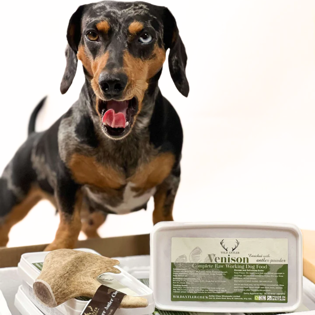 Starter Pack of Venison Raw Dog Food