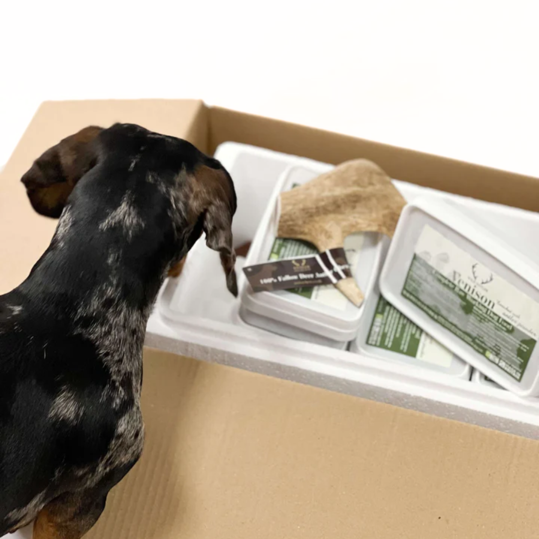 Starter Pack of Venison Raw Dog Food