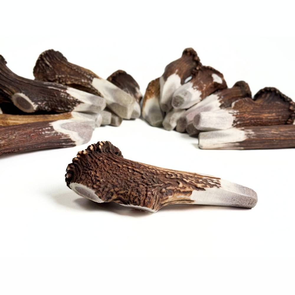 BuckHorn Crown - Durable Antler Chew with Balanced Marrow Access