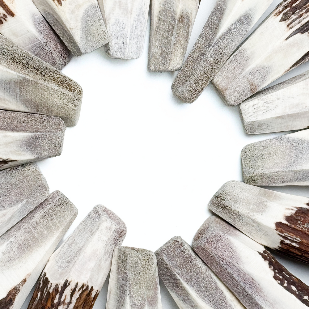 BuckHorn Crown - Durable Antler Chew with Balanced Marrow Access