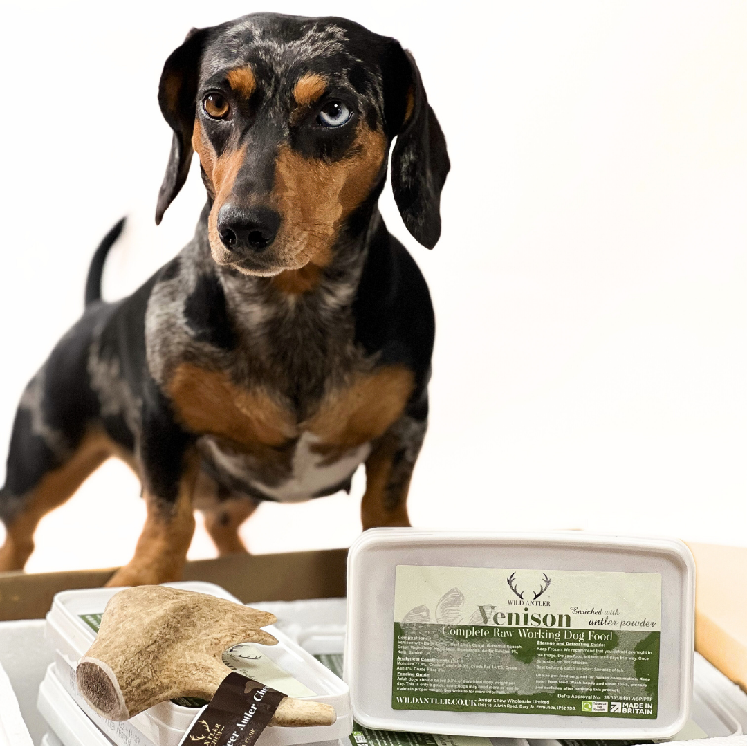 Starter Pack of Venison Raw Dog Food