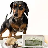 Antler Chew