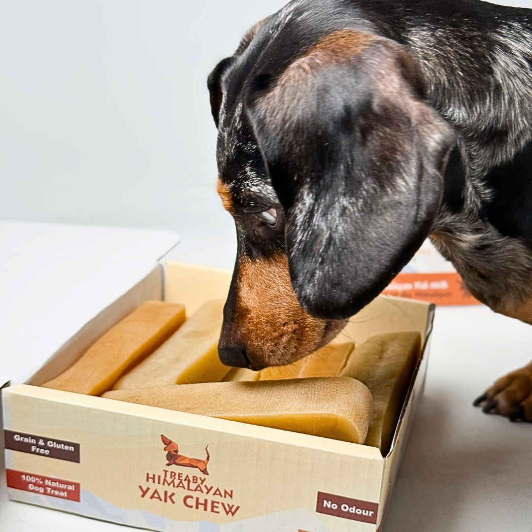 Cheap best yak chews for dogs on Sale