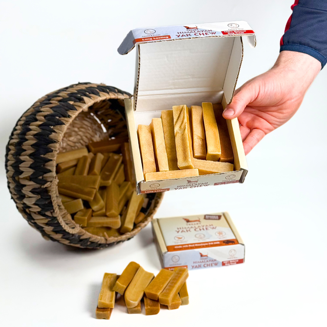 Himalayan Yak Chew, Long-lasting dog chews, Natural dog treats, Yak milk dog chews, Healthy dog chews, Safe dog chews for aggressive chewers, and Premium dog treats.  - Antler Chew 