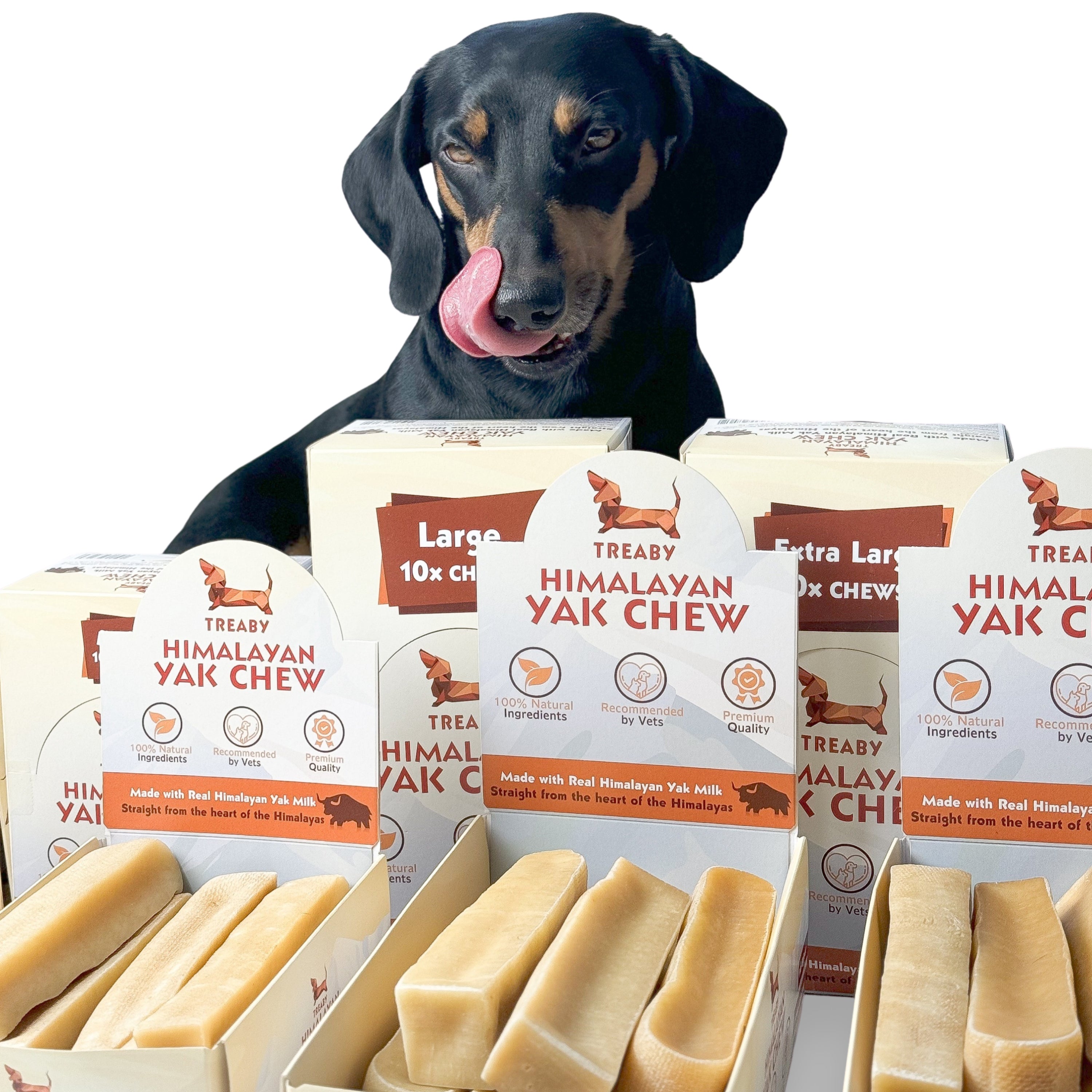 Himalayan Yak Chew, Long-lasting dog chews, Natural dog treats, Yak milk dog chews, Healthy dog chews, Safe dog chews for aggressive chewers, and Premium dog treats.  - Antler Chew 