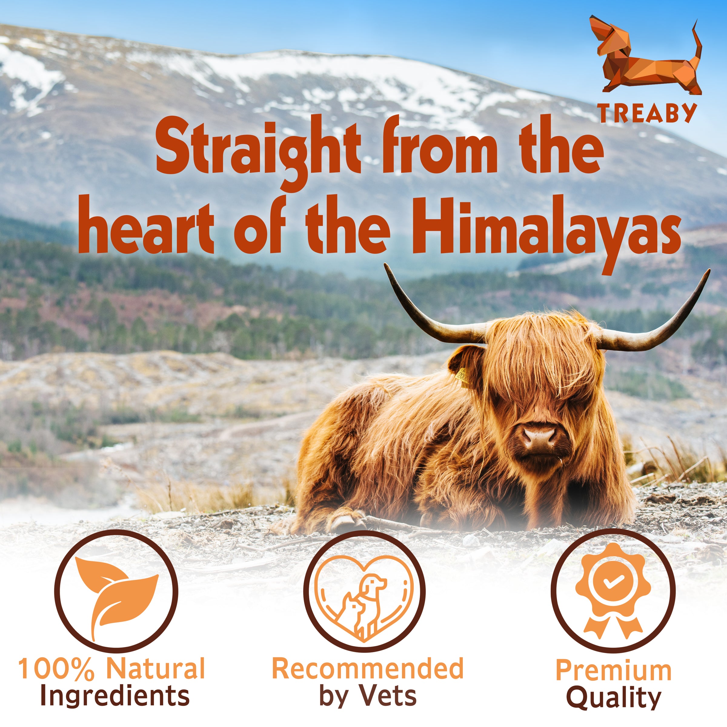 Himalayan Yak chew Pack of 2 Antler Chew