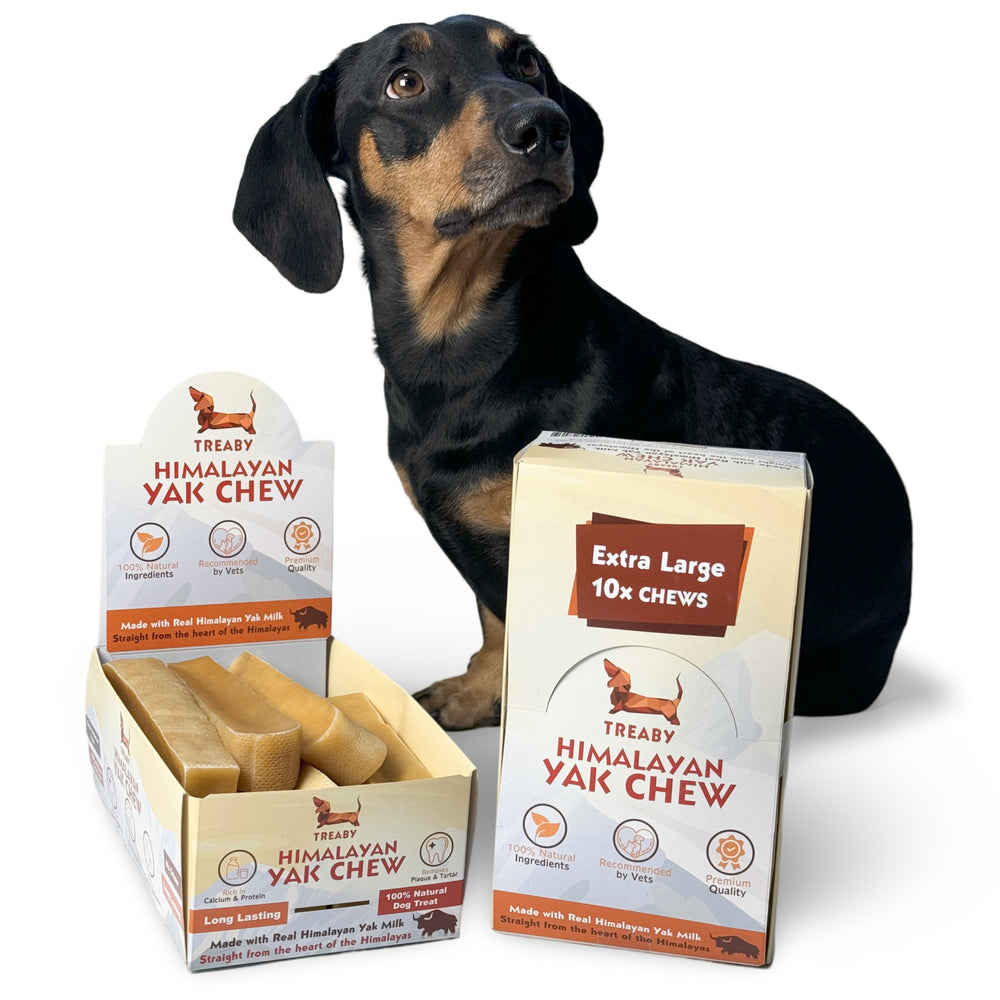 Treat your dog to the best with the Treaby Himalayan Yak Chew XL Bundle – 10 Extra-Large Chews for maximum satisfaction!  - Antler Chew 