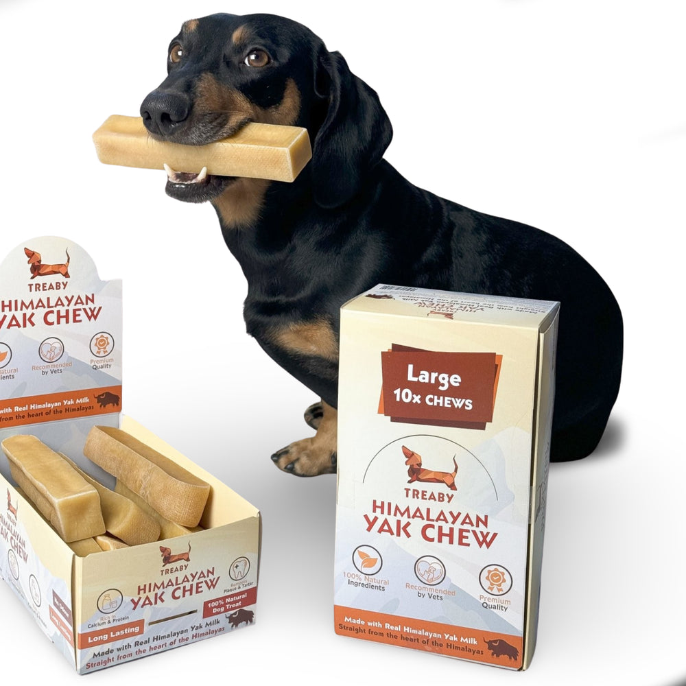 Himalayan Yak Chew, Long-lasting dog chews, Natural dog treats, Yak milk dog chews, Healthy dog chews, Safe dog chews for aggressive chewers, and Premium dog treats.  - Antler Chew 