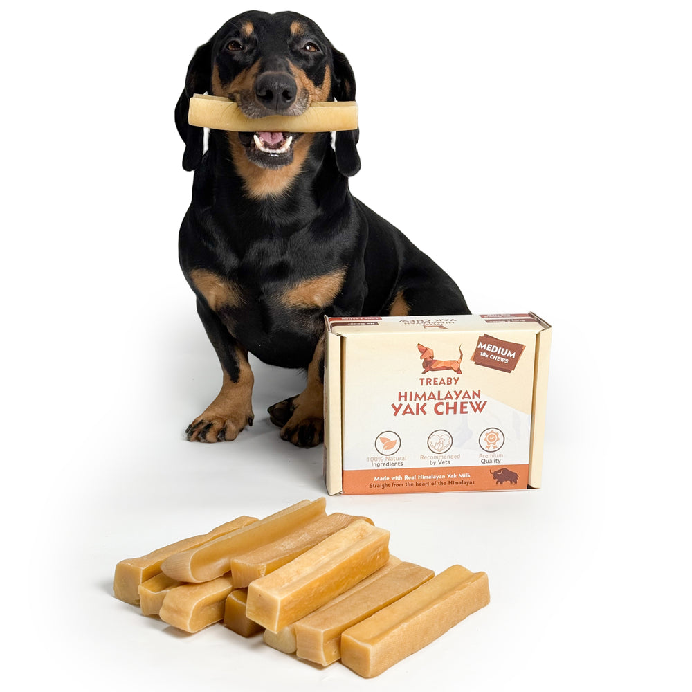 Shop Treaby Himalayan Yak Chew Bundles, crafted from pure Himalayan yak milk. Available in four sizes – small to extra large – these durable, natural dog chews promote dental health and provide hours of enjoyment. Perfect for all dog breeds. Order your pack today!  - Antler Chew 