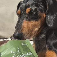 Antler Chew