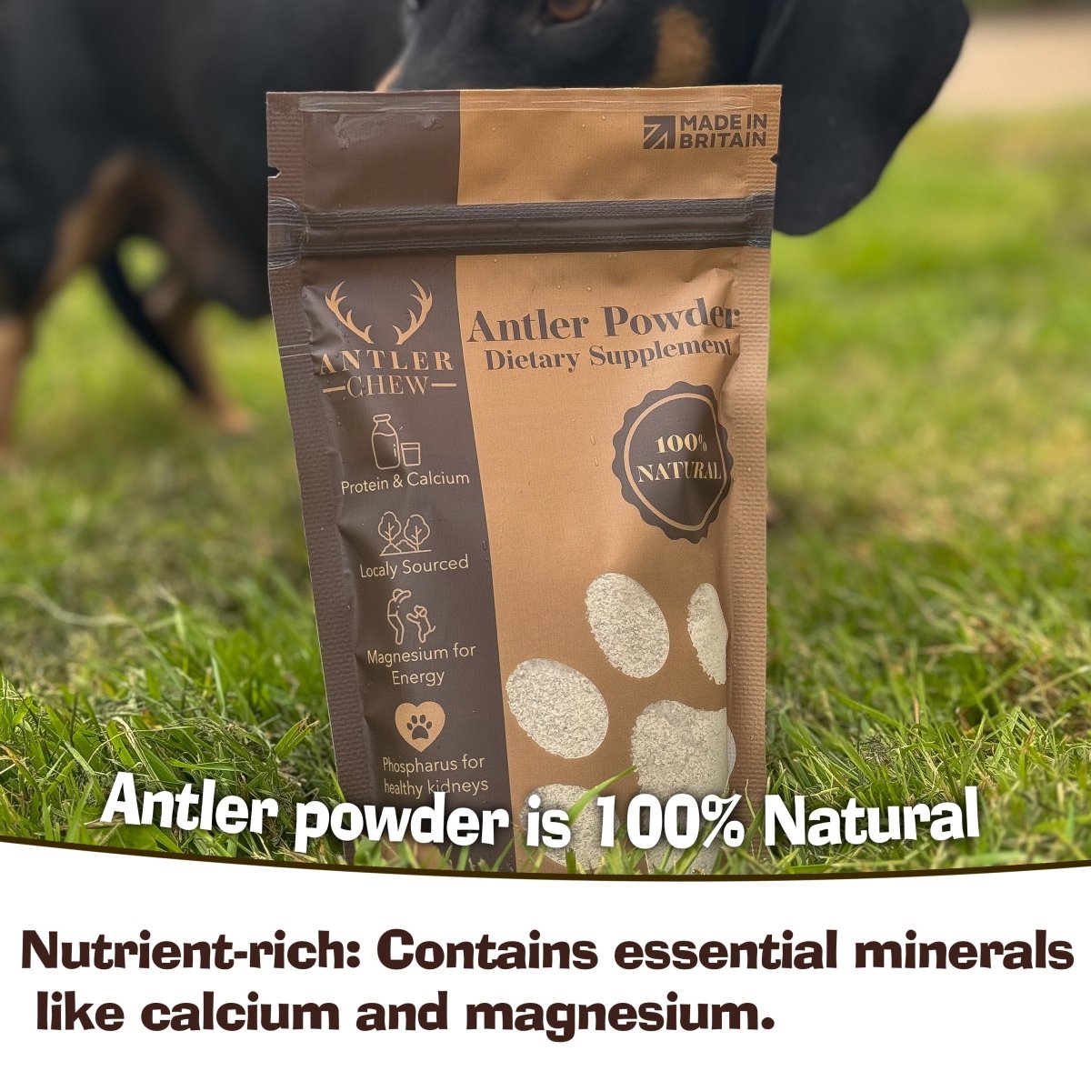 Deer Antler Powder - Antler Chew