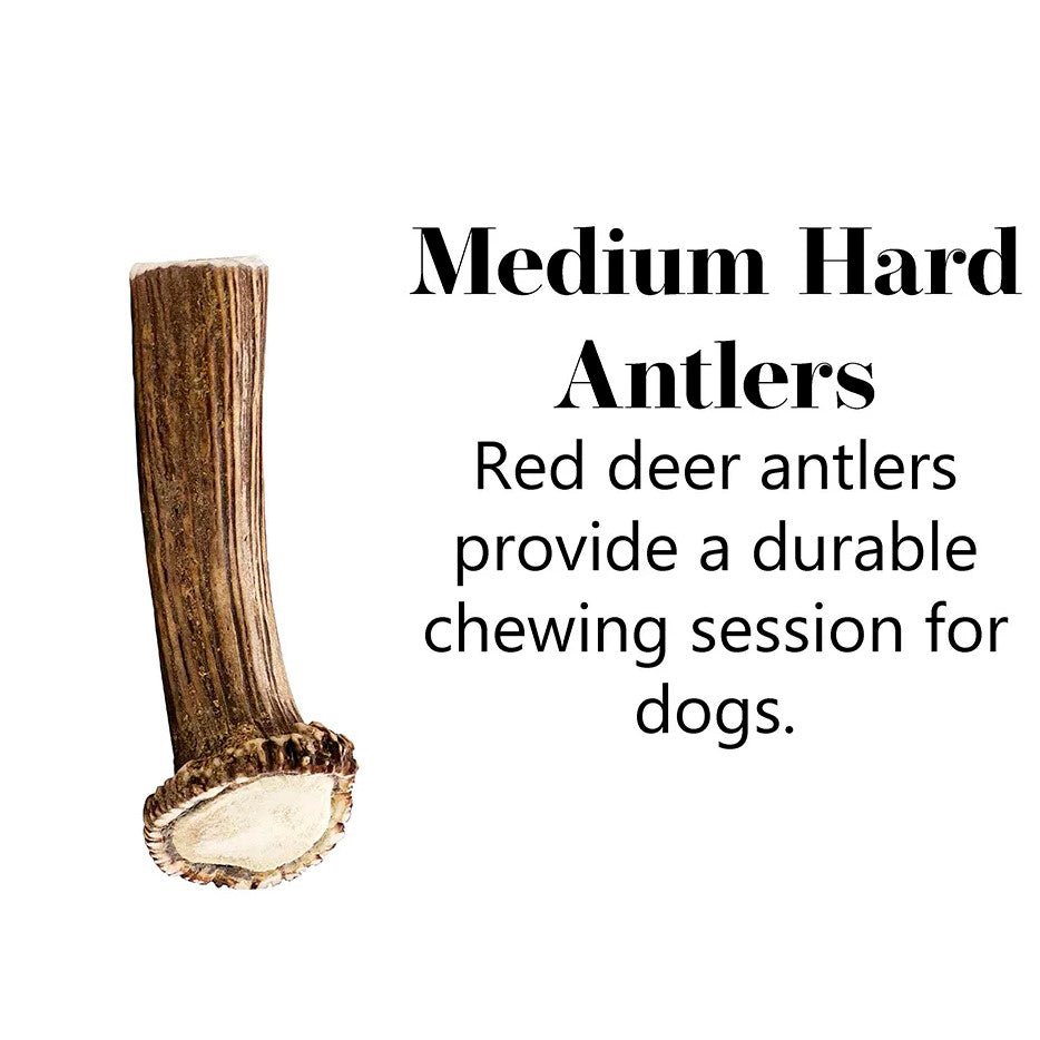 Large Plus Deer Antler Chew 200g - 240g - Antler Chew