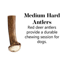 Large Plus Deer Antler Chew 200g - 240g - Antler Chew