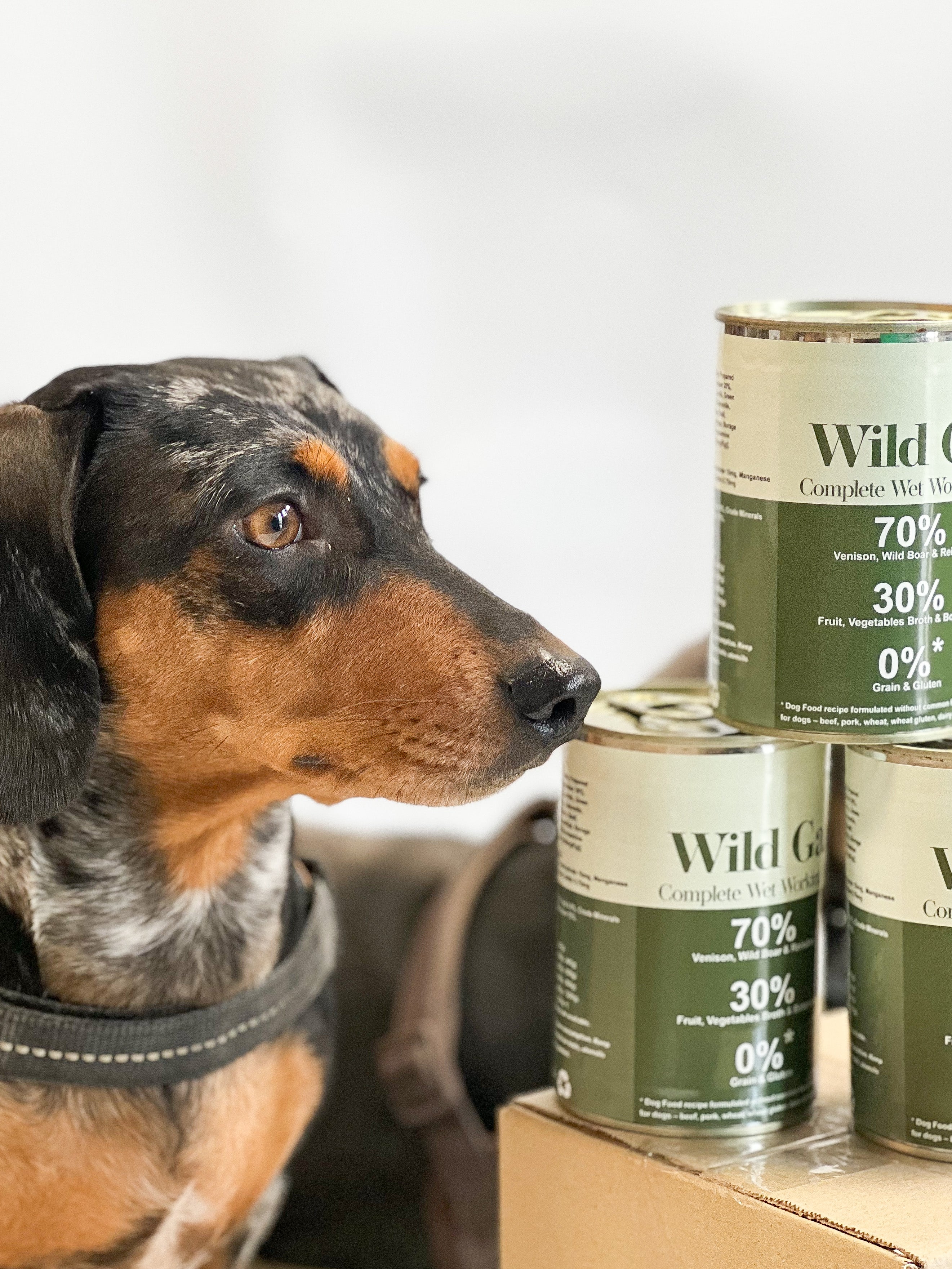 Publix canned dog food sale