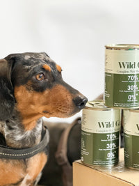 10 x Wild Game - Grain Free Complete Wet Working Dog Food 400g - Antler Chew