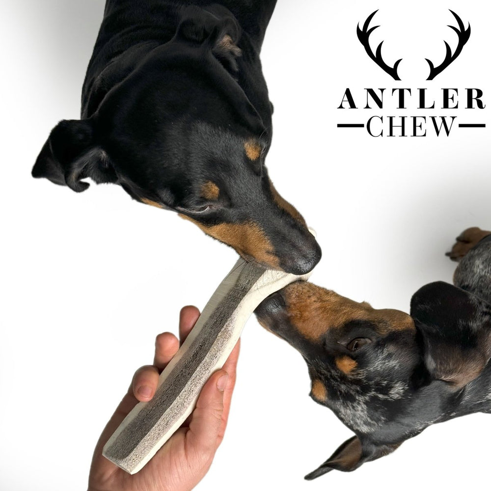 Split Deer Antler Chew - Antler Chew