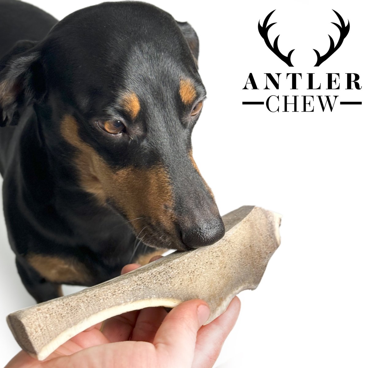 Split Deer Antler Chew - Antler Chew